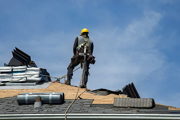 Professional Flat Roof Repair technician working in Blaine, MN